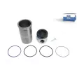 Kit de réparation, Piston/Chemise de cylindre DT [2.90173]