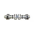 DT 3.11046 - Vilebrequin