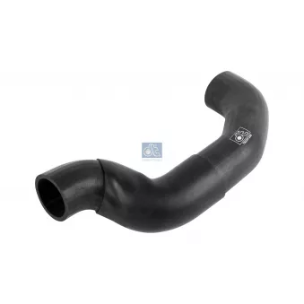 Durite de radiateur DT OEM 82963010024