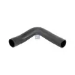 DT 3.16449 - Durite de radiateur