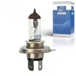 DT 3.32912 - Ampoule, projecteur principal