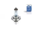 DT 3.32912 - Ampoule, projecteur principal