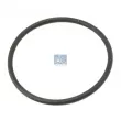 Bague d'étanchéité DT [3.89539]