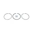 DT 3.90226 - Jeu de segments de pistons