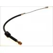 ABE C85139ABE - Flexible de frein