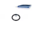 Bague d'étanchéité DT [4.20870]