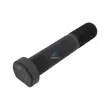 Boulon de roue DT [4.40087SP]