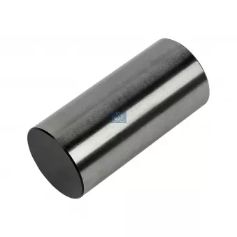 DT 4.50098 - Poussoir de soupape