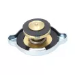 DT 4.50409 - Bouchon de radiateur