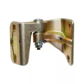 Charnière de porte DT 4.63355