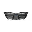 DT 4.66248 - Grille de radiateur