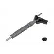 Injecteur DT [4.69230]