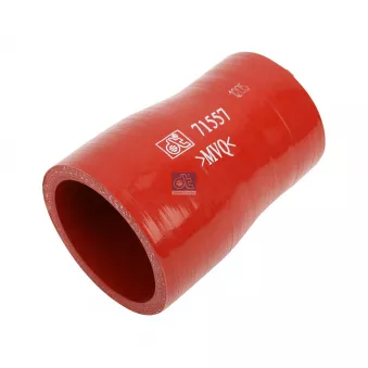 DT 4.80471 - Durite de radiateur