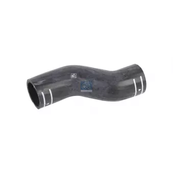 DT 4.80989 - Durite de radiateur