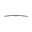 DT 4.81341 - Flexible de frein