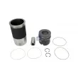 Kit de réparation, Piston/Chemise de cylindre DT [4.90955]
