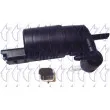TRICLO 190374 - Pompe d'eau de nettoyage, nettoyage des vitres