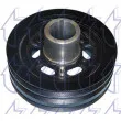 Poulie, vilebrequin TRICLO [428876]