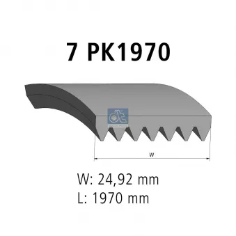 Courroie trapézoïdale à nervures DT 6.31545