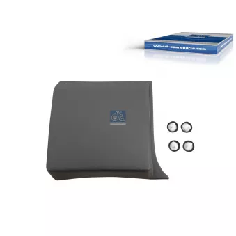 Baguette et bande protectrice, panneau latérale DT OEM 6000618699