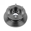 DT 7.36037 - Jeu de 2 disques de frein avant