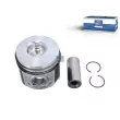 Piston DT [7.54665]