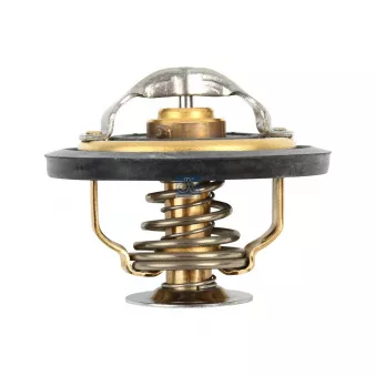Thermostat, liquide de refroidissement DT OEM 500329622