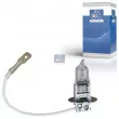 DT 9.78110 - Ampoule, projecteur antibrouillard