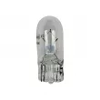 DT 9.78138 - Ampoule, éclairage des instruments