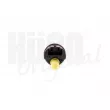 HITACHI 133131 - Pompe à carburant