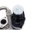 HITACHI 138466 - Vanne EGR