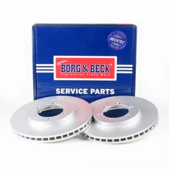BORG & BECK BBD4313 - Jeu de 2 disques de frein avant