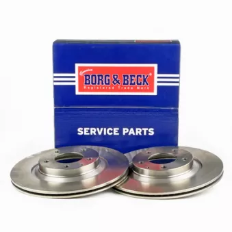 Jeu de 2 disques de frein arrière BORG & BECK OEM F15226251A