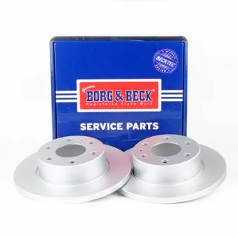 Jeu de 2 disques de frein arrière BORG & BECK OEM 2996027
