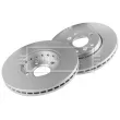 BORG & BECK BBD5391 - Jeu de 2 disques de frein avant