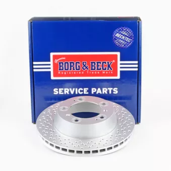Jeu de 2 disques de frein arrière BORG & BECK OEM 98735240301
