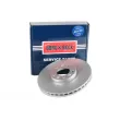 BORG & BECK BBD5969S - Jeu de 2 disques de frein avant