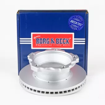 Jeu de 2 disques de frein avant BORG & BECK OEM 8982488970