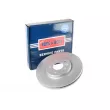 BORG & BECK BBD6192S - Jeu de 2 disques de frein avant