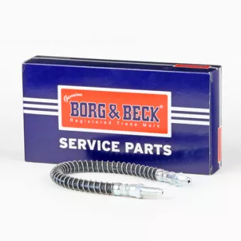Flexible de frein BORG & BECK OEM CAC8199