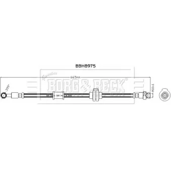 Flexible de frein BORG & BECK BBH8975
