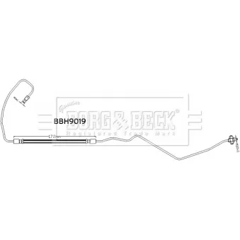 Flexible de frein BORG & BECK OEM 4888Y6