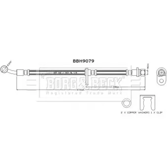 BORG & BECK BBH9079 - Flexible de frein