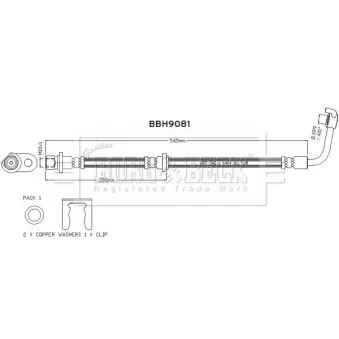 BORG & BECK BBH9081 - Flexible de frein