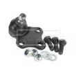 BORG & BECK BBJ5278 - Rotule de suspension