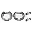 BORG & BECK BBS1092K - Kit de freins arrière (prémontés)