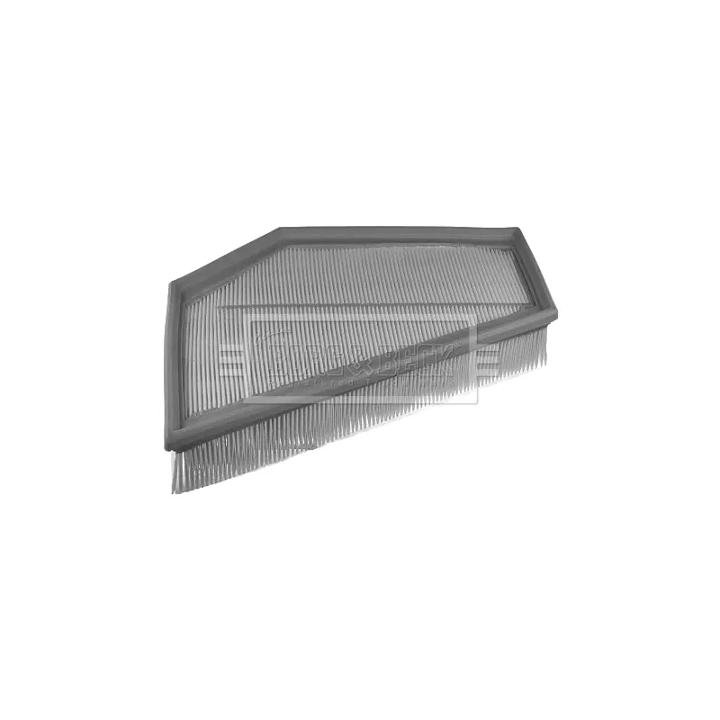 Filtre à air BORG & BECK BFA2390 - Visuel 1