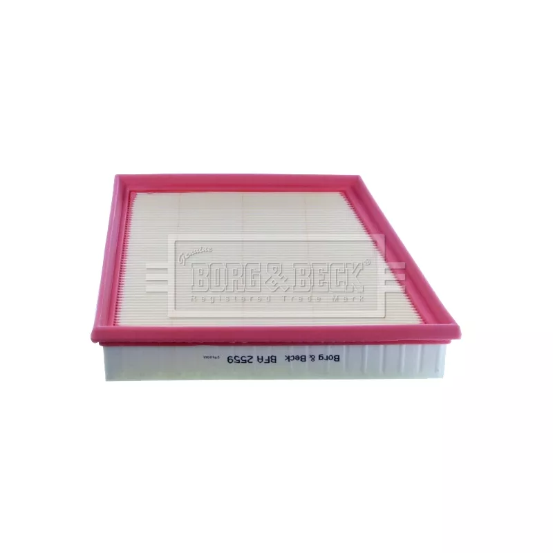 Filtre à air BORG & BECK BFA2559 - Visuel 1