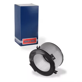 Filtre, air de l'habitacle BORG & BECK BFC1080