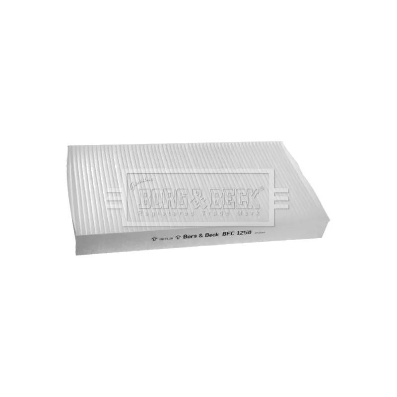 Filtre, air de l'habitacle BORG & BECK BFC1258 - Visuel 1